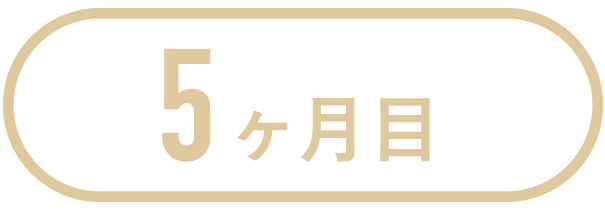 5ヶ月目